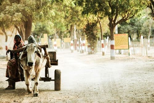 Bikaner - KAR