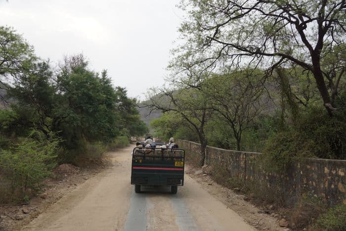 Ranthambore Tiger 2