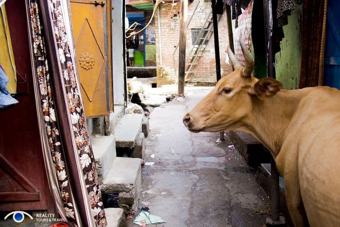 Sanjay Colony - Delhi